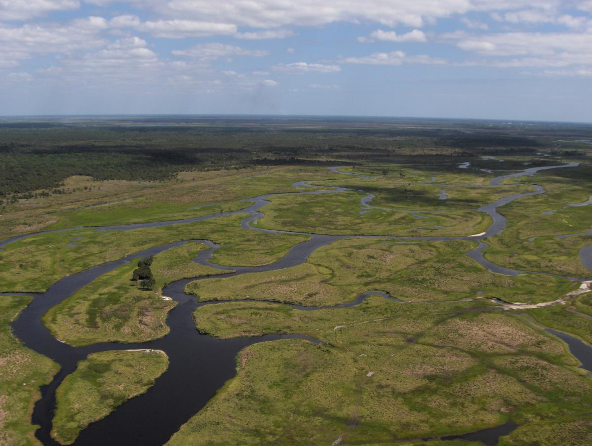 Floodplain Marsh